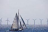 Sailing boat in front of an off shore wind park in the Sound between Denmark and Sweden