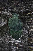 Ruin on the Stevenson trail in the Cévennes  France