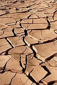 Cracked mud of the Draa Valley in Morocco