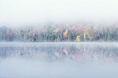 Early morning mist and autumn coloured trees on an island in Lac Bouchard Lake, La Mauricie National Park, Québec, Eastern Canada