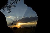 Sunset from within a hollow baobab Ruaha Tanzania