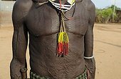 Scar-covered chest, Karo warrior, southern Omo valley, southern Ethiopia, Ethiopia, Africa
