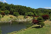 Japanese garden at Anduze bamboo plantation of France 