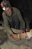 Veterinarian observing the claws of a lion asleep Namibia ; Philip (Flip) Stander, veterinarian for the NGO "Desert Lion".