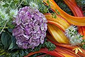 Autumn floral composition in a garden