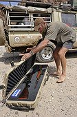 Veterinary anesthesia and guns for a Lion in Namibia ; Philip (Flip) Sander, veterinarian for the NGO "Desert Lion", works in the northwest of the country. 