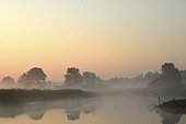 Morning mist on the Elbe Meadows near Dessau, Middle Elbe Biosphere Reserve, Saxony Anhalt, Germany, Europe