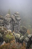 View from the Bastei with fog, Elbe Sandstone Mountains, Saxon Switzerland, Saxony, Germany, Europe