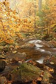 Autumn in the Ilse Valley, Harz Mountains, Saxony-Anhalt, Germany, Europe