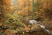 Autumn in the Ilse Valley, Harz Mountains, Saxony-Anhalt, Germany, Europe