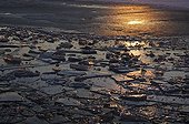 Evening light reflected in ice on a lake