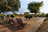 Amani Lodge in the mountainous Khomas Hochland Namibia ; Rehabilitation center for felines before their reintroduction in the wild.