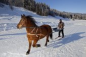 Skier pulled by horse Vaud Switzerland  ; Ski joering