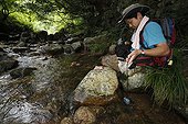 Search of a Japanese Giant Salamander in the river Japan ; Prof. Sumio Okada focus his research on the habitat of salamanders, he wants to understand what's make a stream a good one for reproduction or not and a good place for larveas to grow up. With radio tracking help he can know the mouvement f the animals.