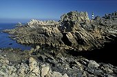 Rocky coast and Ushant lighthouse Créac'h Brittany France 
