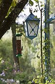 Bird feeding dish and lantern in a garden