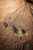 Footprints in the desert Arches NP USA