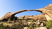 Landscape Arch Arches National Park Utah USA