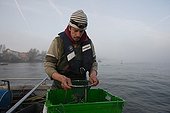 Fisherman & net on his Boat for alevin Eel fish Loire river