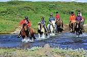 Hiking Polar Hestar Grenivik in the region of Iceland 