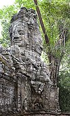 Gate of the Temple of Ta Prohm at Angkor in Cambodia ; The walls are trapped in the roots of a giant cheese. Above, a statue of Buddha with four faces.  
