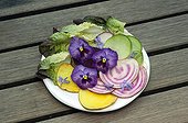 Salad plate-based Edible Flowers France ; Designer: Pierre-Alexandre RISSER