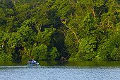Tourism on the Tortuguero River PN Tortuguero Costa Rica 