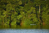 Tourism on the Tortuguero River PN Tortuguero Costa Rica 