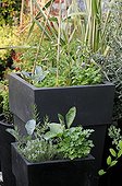Vegetables and aromatic plants in pot on a garden terrace ; Designer: Pierre-Alexandre RISSER