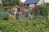 Flowered organic kitchen garden