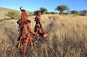 Femmes himbas assurant une corvée d'eau en Namibie ; Dans la région désertique ou vivent les Himbas, ce sont les femmes qui assurent l'approvisionnement en eau du village (krall) souvent à plusieurs kilomètres des points d'eau ou des rivières.