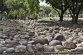 Modern Art Museum at Flamengo Park  Rio de Janeiro  Brazil ; Work of Roberto Burle Marx
