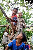 Children in a tree in the Ujung Kulon NP in Java  
