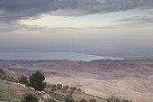 The two shores of the Dead Sea in Jordan and Israel ; In the foreground, the bank side of the Jordan