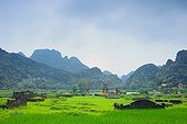 Cemetery and graves in a rice Ninh Binh Vietnam 