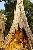 Children in a trunk at Ta Phrom Temple at Angkor in Cambodia ; 