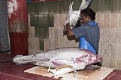 Malé Fish Market Maldives Indian Ocean