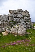 Wall of Megalithic Temples of Ggantija Malta Gozo 