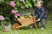 Little boy playing with a wheelbarrow in a garden