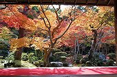 Tenju-an temple garden in autumn  Japon