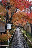 Tenju-an temple garden in autumn  Japon