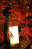Lantern at Enko-ji  temple garden in autumn  Japon