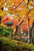 Lantern at Enko-ji  temple garden in autumn  Japon