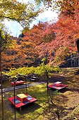 Restaurant tearoom 'Suzuriishi-tei' in autumn  Japon