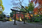Gio-ji temple zen garden in autumn  Japon