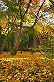 Renge-ji temple garden in autumn  Japon