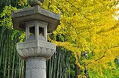 Lantern at Koto-ini temple garden in autumn  Japon