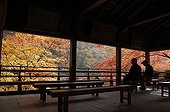 Kibune jinja shrine sanctuary in autumn  Japon