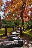 Rock path in a japanese garden in autumn  Japon