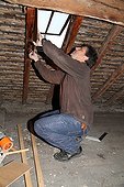 Development of access to bat in an atticFrance ; Rafael Quesada, specialist bats
